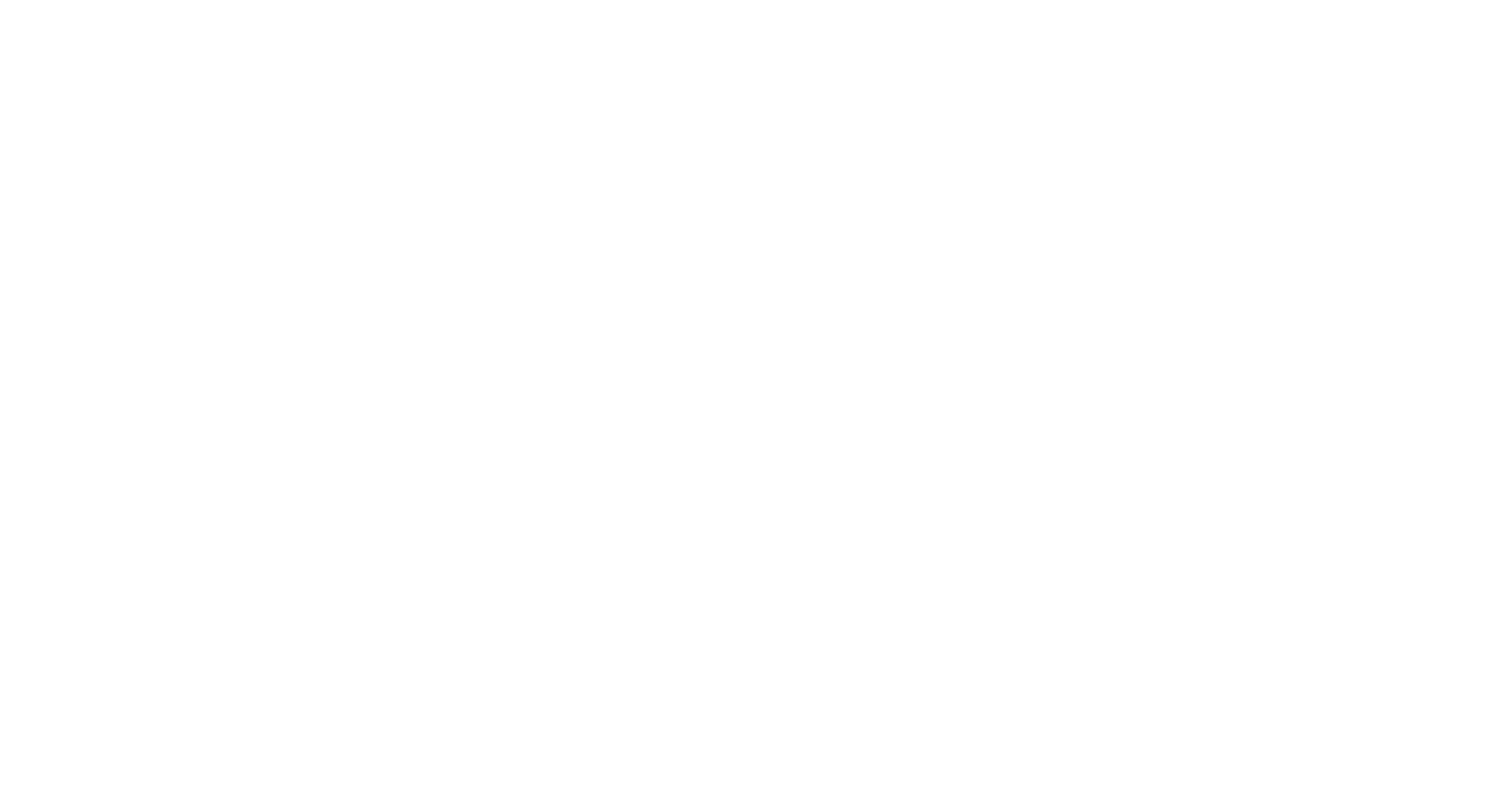Bullet